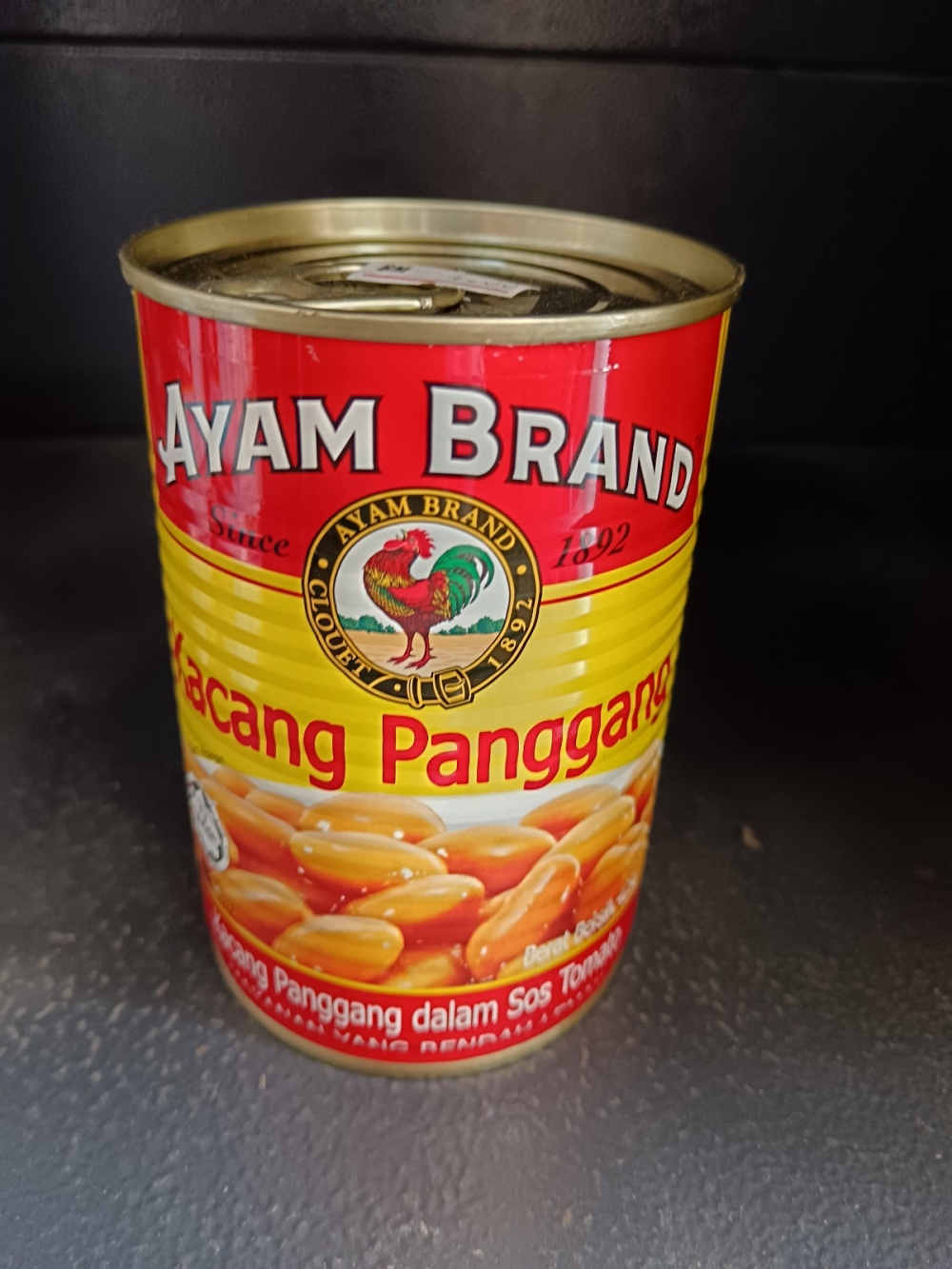 17369049761d5aa_Ayam_Brand_Baked_Beans_425gX24.jpg