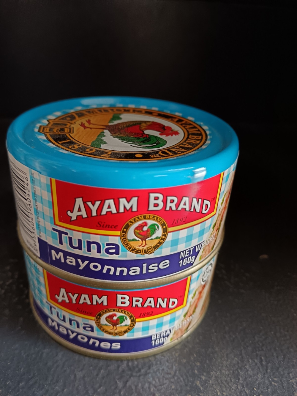 1736904976210d2_Ayam_Brand_Tuna_Mayonnaise_24x160G.jpg