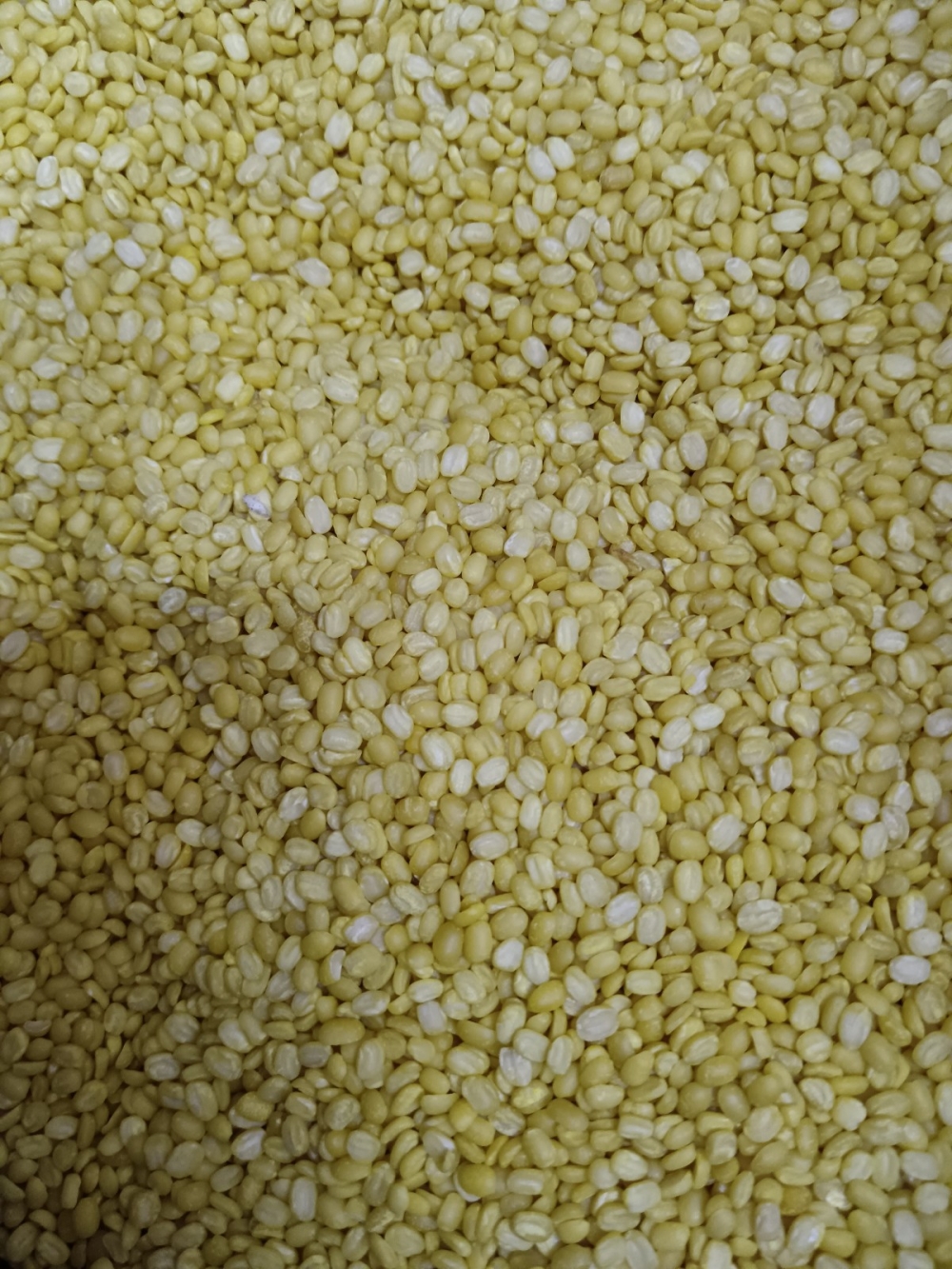 173691930169048_Kacang_Dhall_Hijau_15KG_.jpg